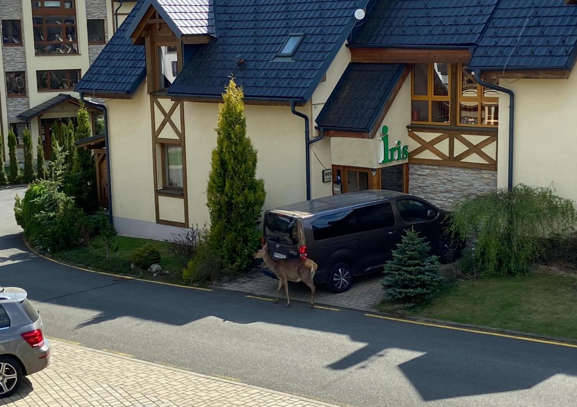 Apartments Iris Stara Lesna Exterior photo